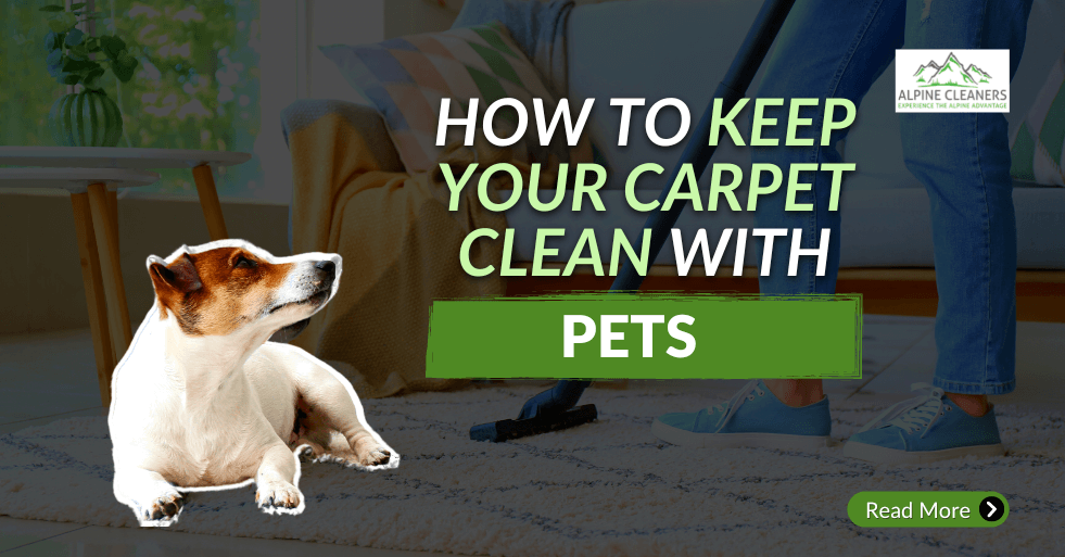 https://www.alpinecleaners.com/uploads/7/4/6/6/74661023/how-to-keep-your-carpet-clean-with-pets_orig.png